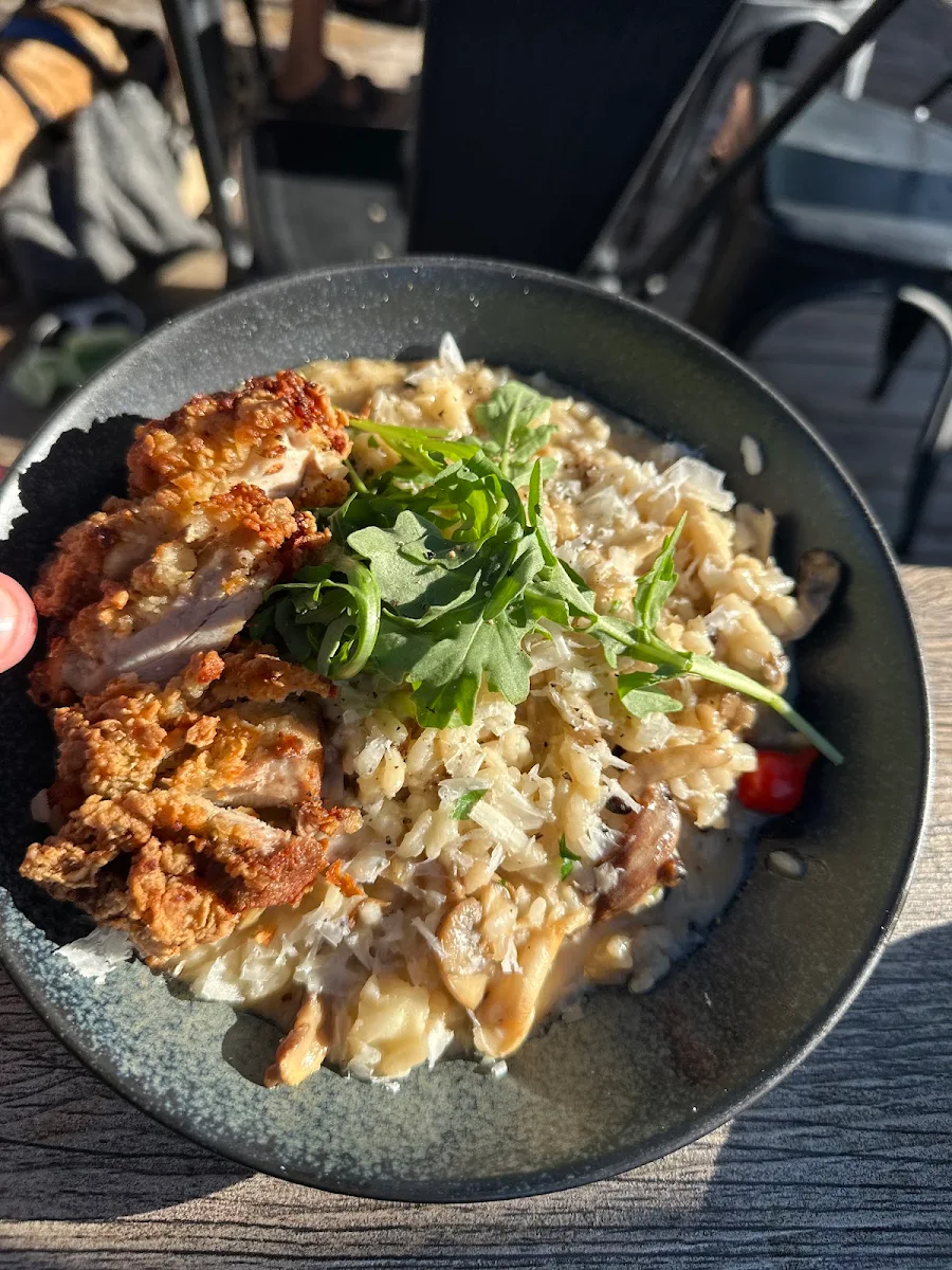 Risotto with Crispy Chicken, Socialē