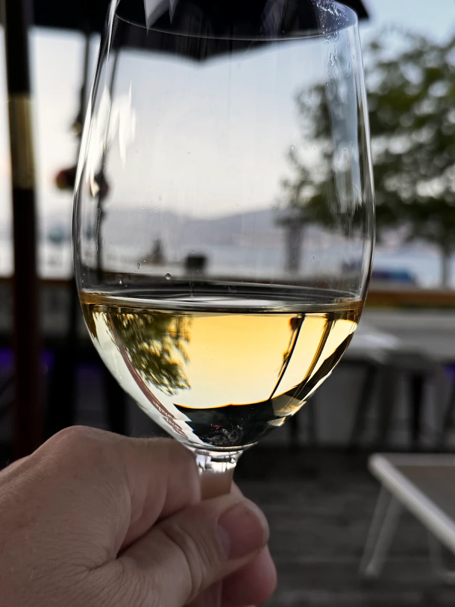 Sauvignon Blanc, Socialē