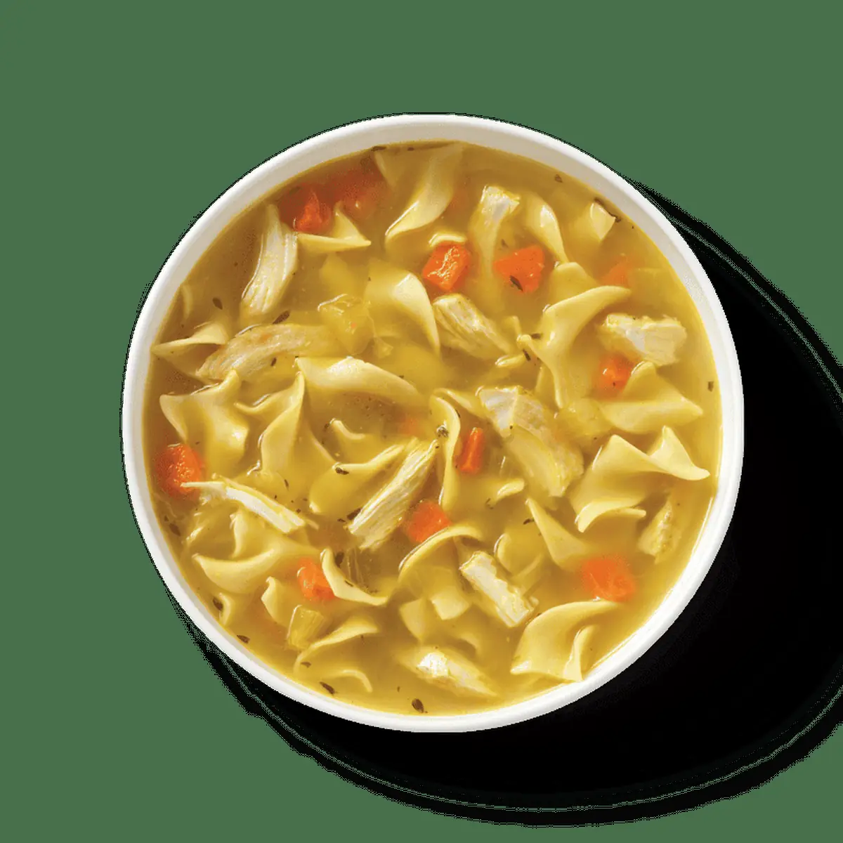 Chicken Noodle Soup