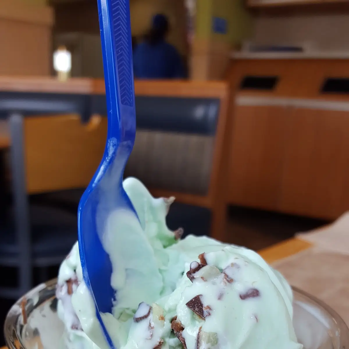Mint Chocolate Chip