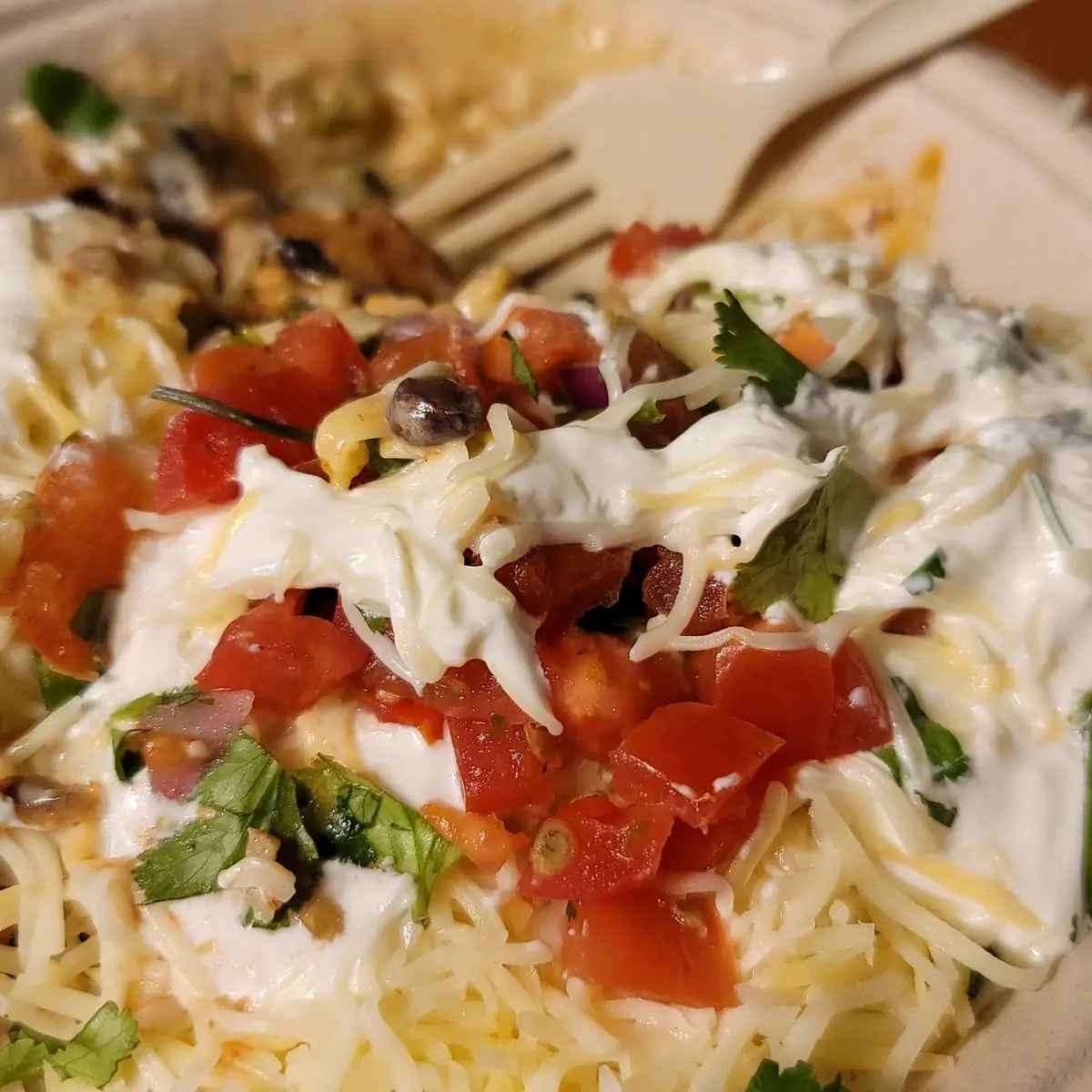 White Rice Black Beans