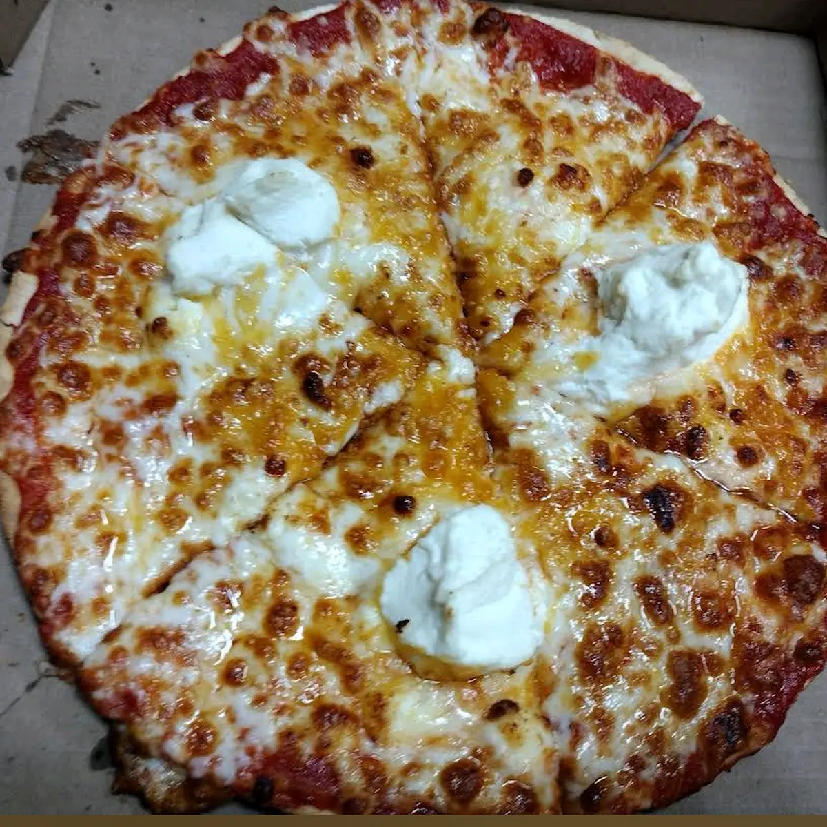 Five Cheese Pizza