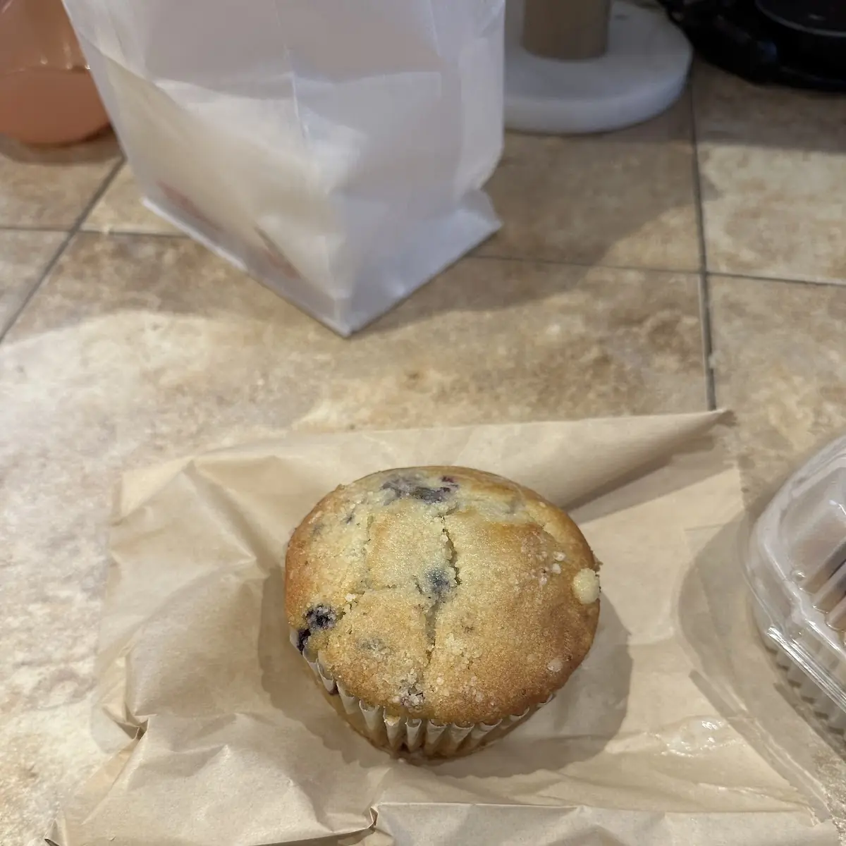 Blueberry Muffin