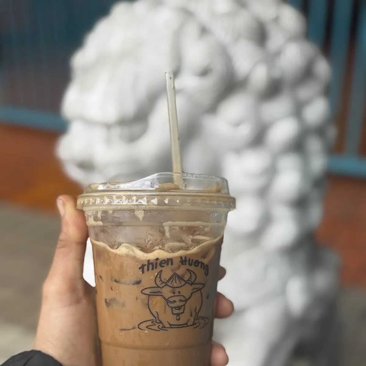 Vietnamese Iced Coffee