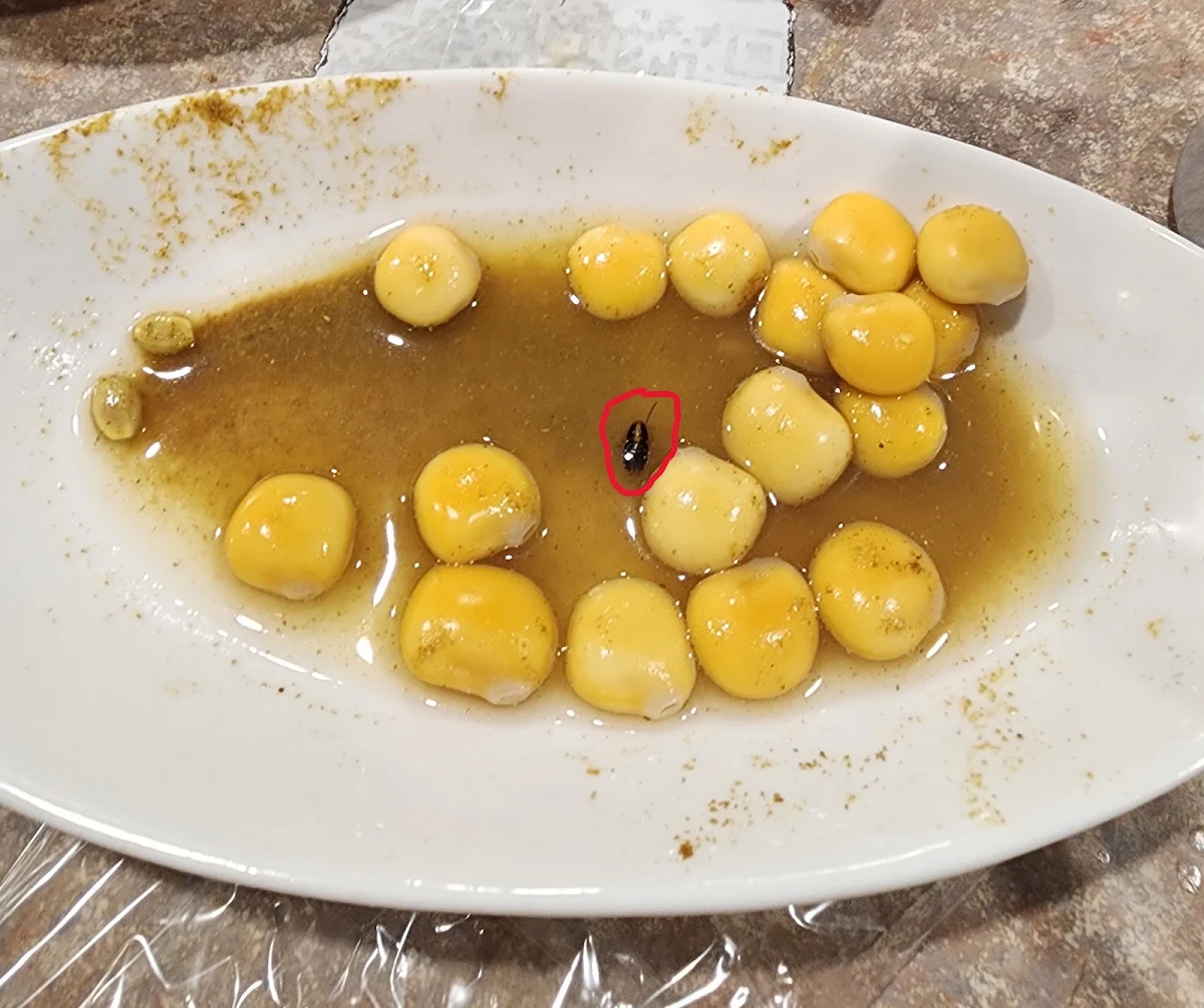 Highlights, Al Omda Lounge | Halal Restaurant