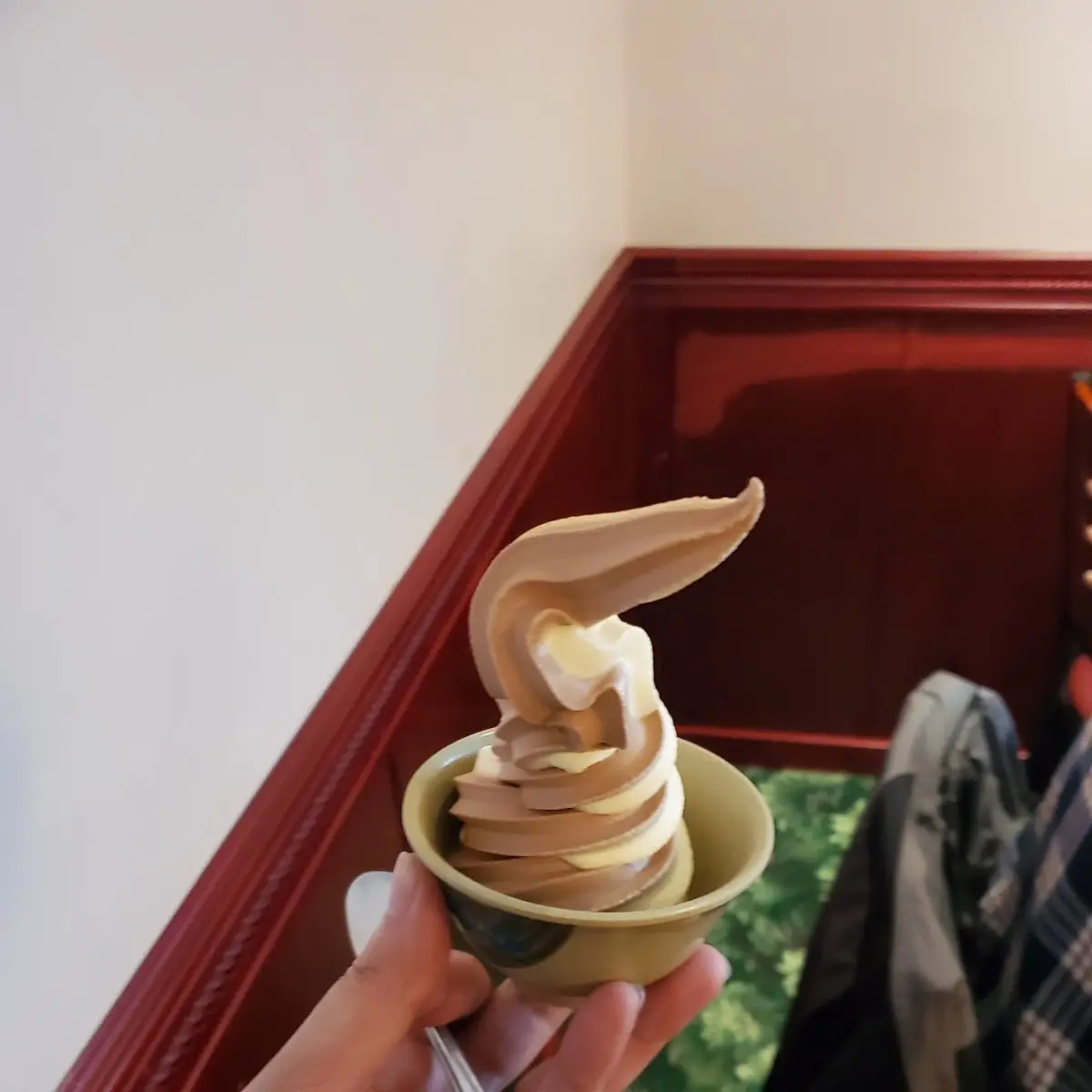 Chocolate Vanilla Ice Cream