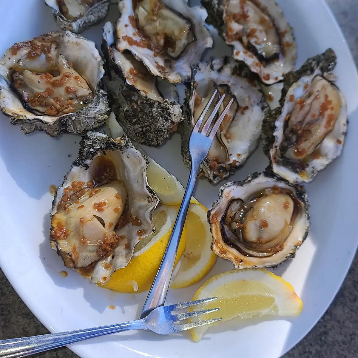 BBQ Oysters on the Half Shell