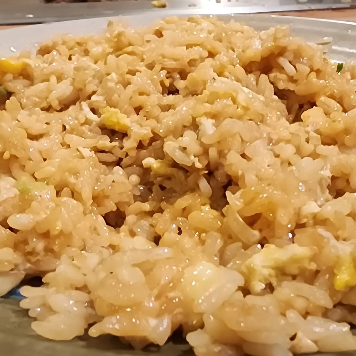 Eel Fried Rice