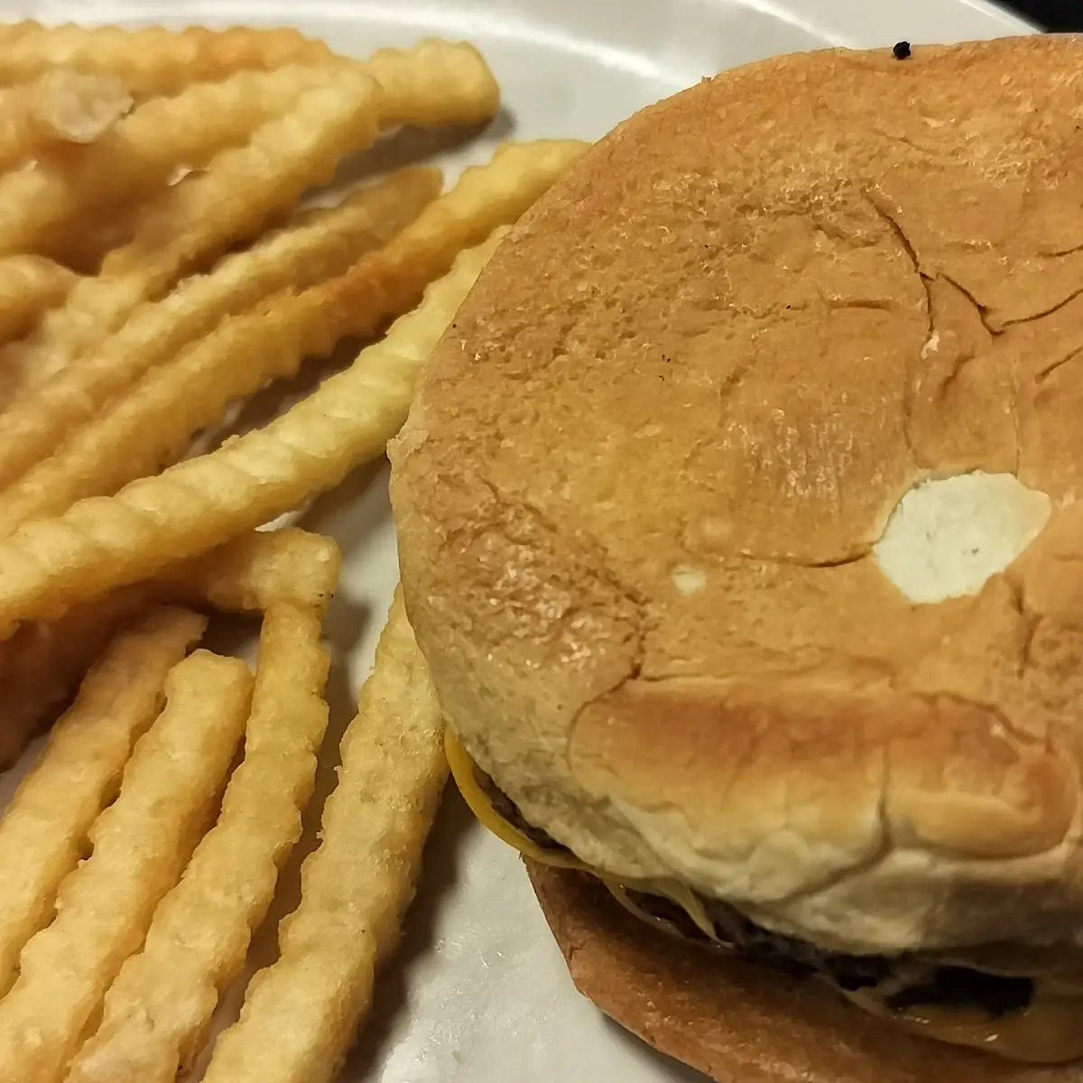 Cheese Burger and Fries