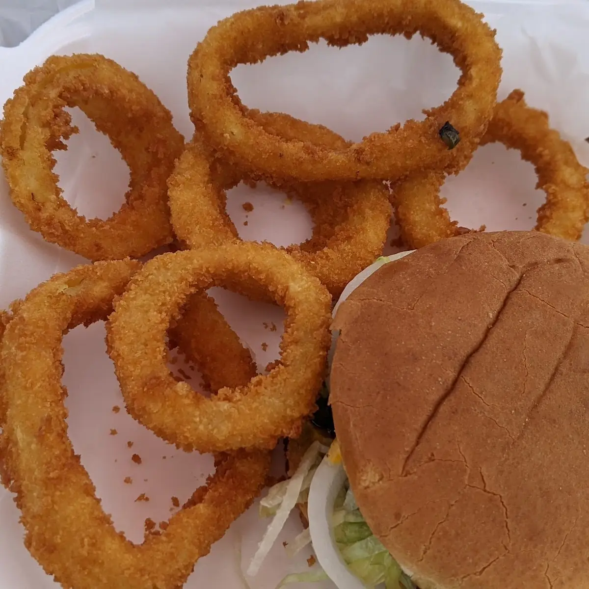 Shake My Burger and Onion Rings