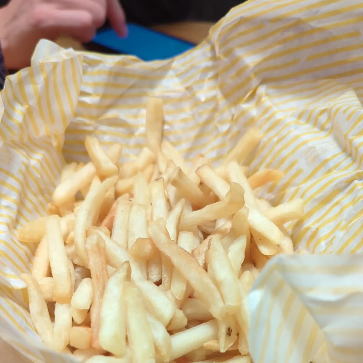 World Famous Fries