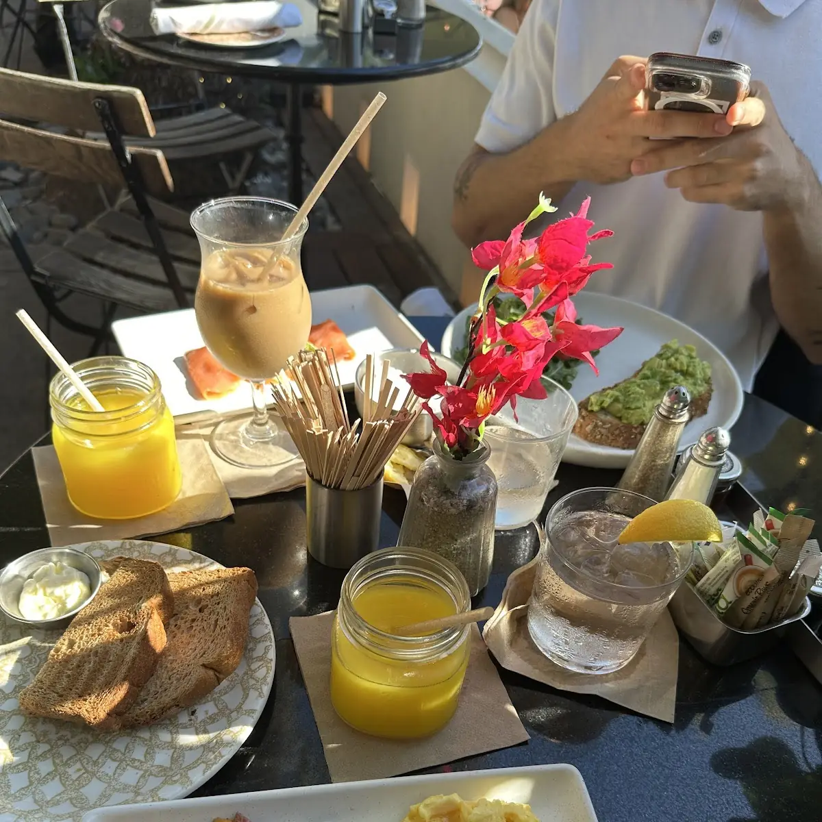 Mimosa Flight