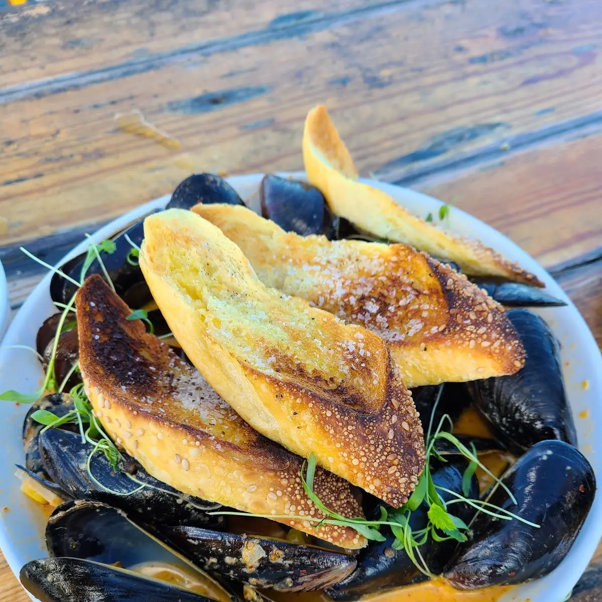 Mussels in Red Curry Sauce