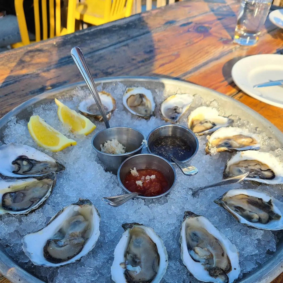 Oysters on the Half Shell