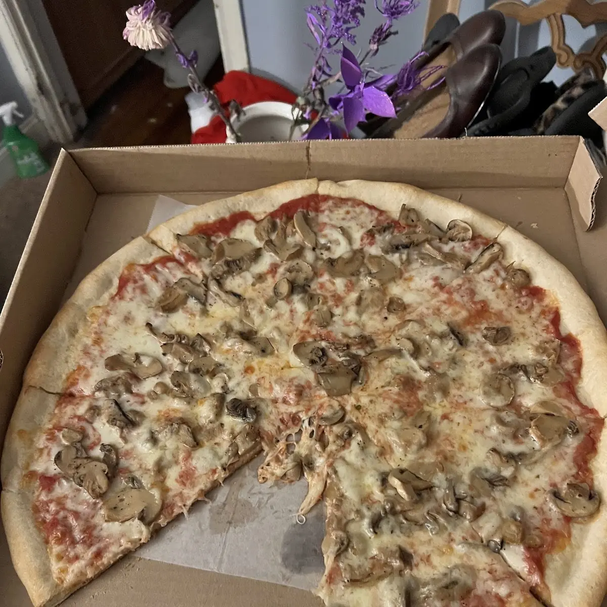 Large Mushroom Pizza
