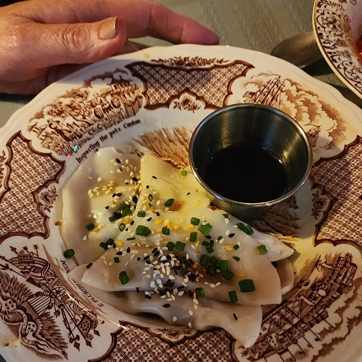 Mushroom Dumplings