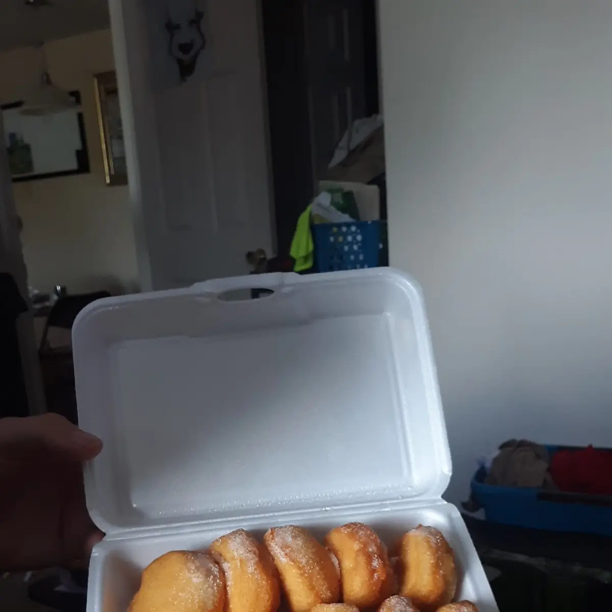 Chinese Donuts