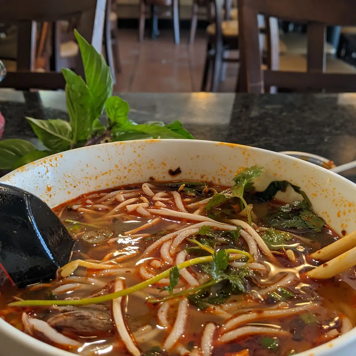 Spicy Beef Noodle Soup