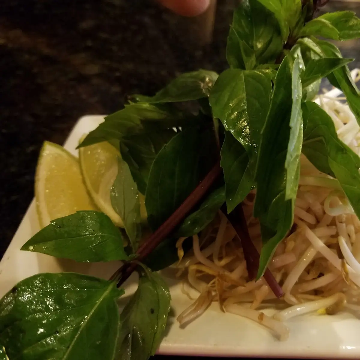 Thai Basil