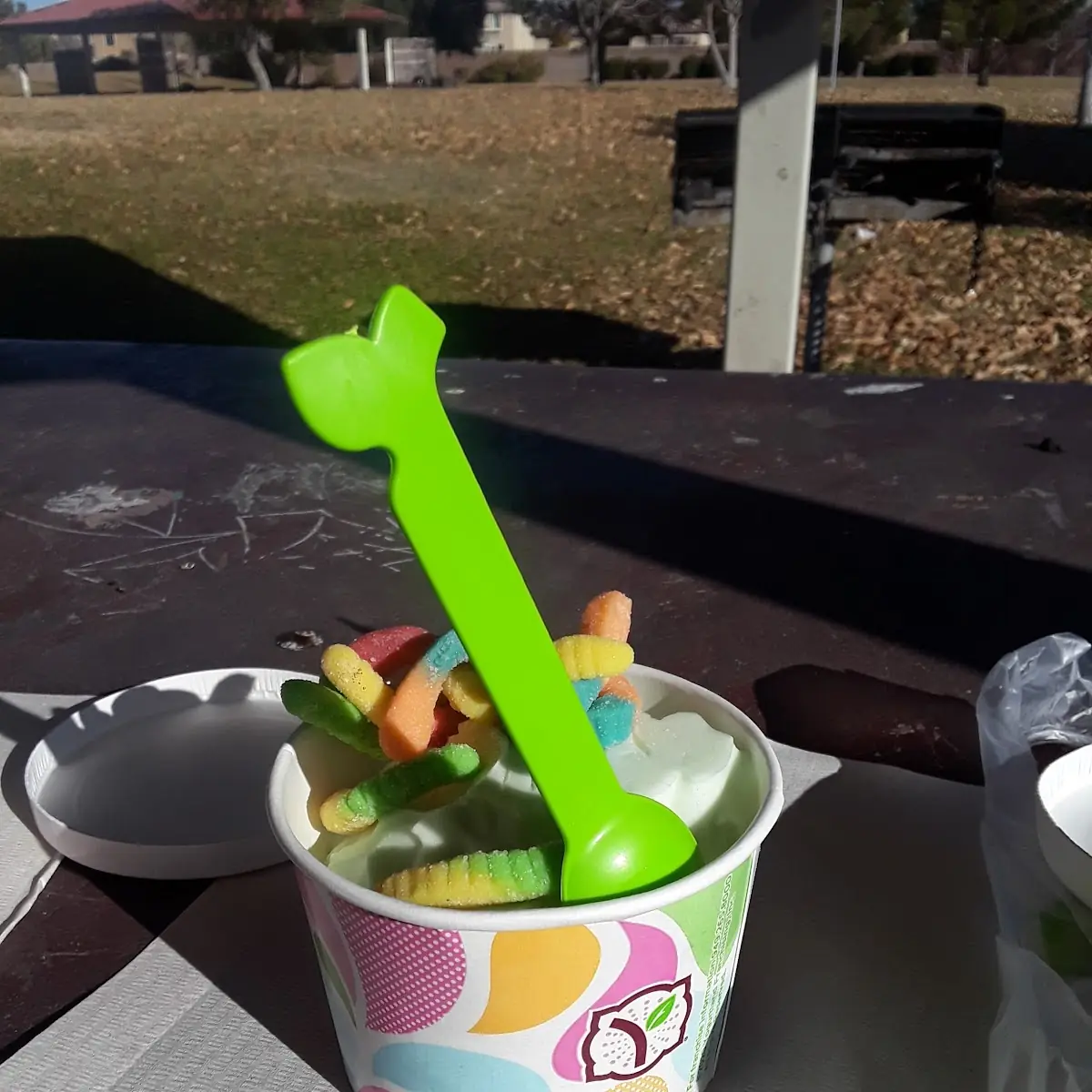Frozen Yogurt Pistachio