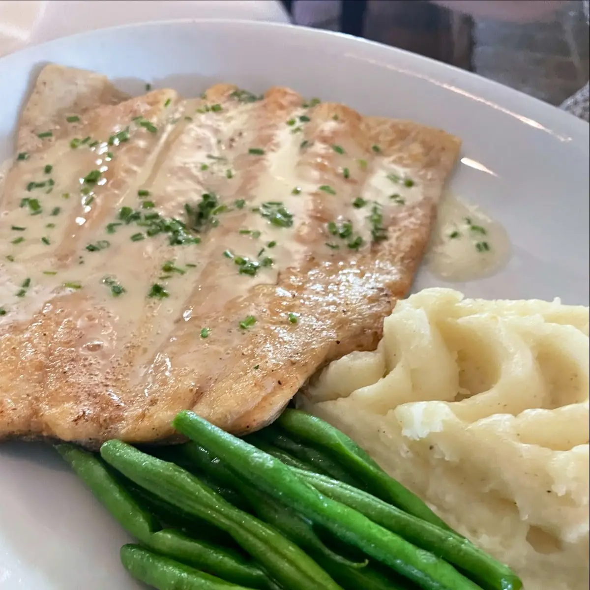 Rainbow Trout