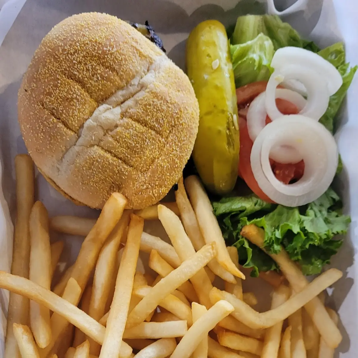 Cheese Burger and Fries