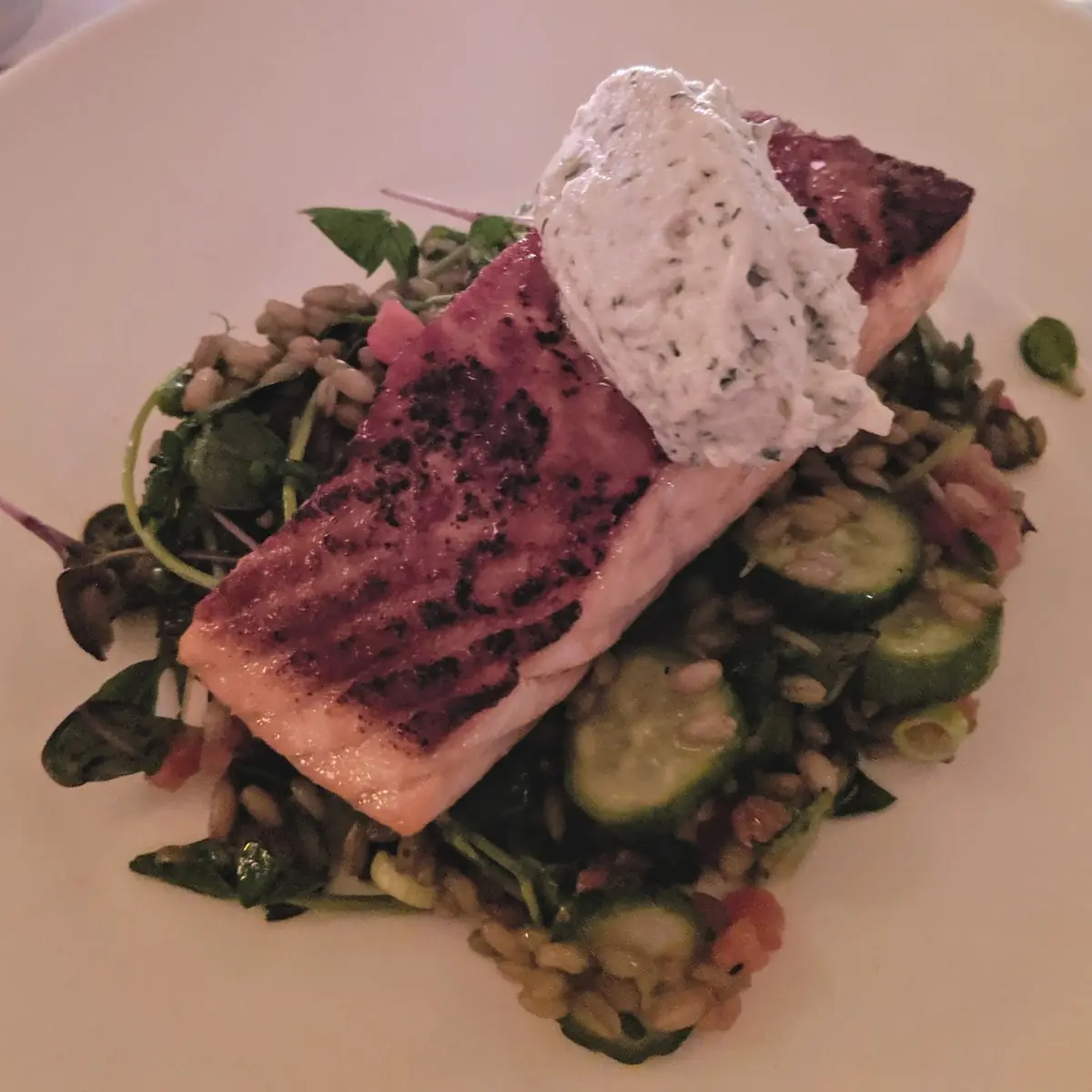 Pan Seared Faroe Islands Salmon