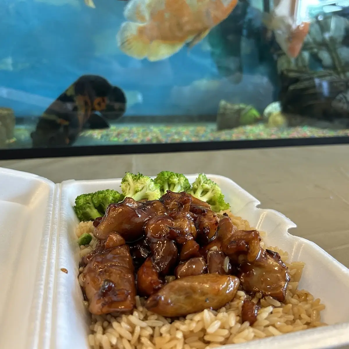 Bourbon Chicken Fried Rice