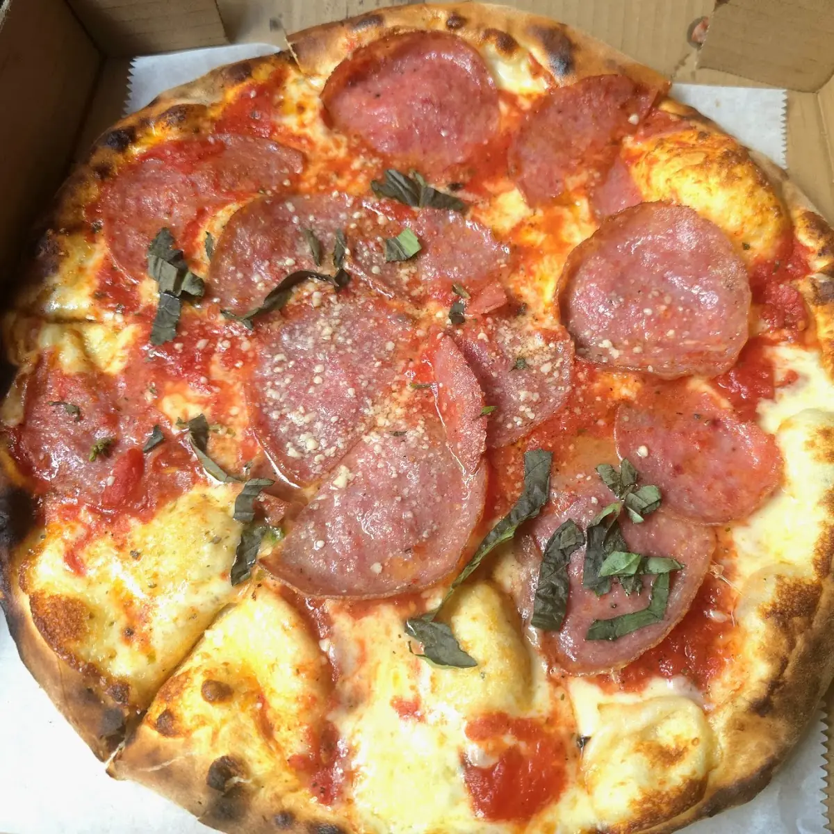 Salami Pizza