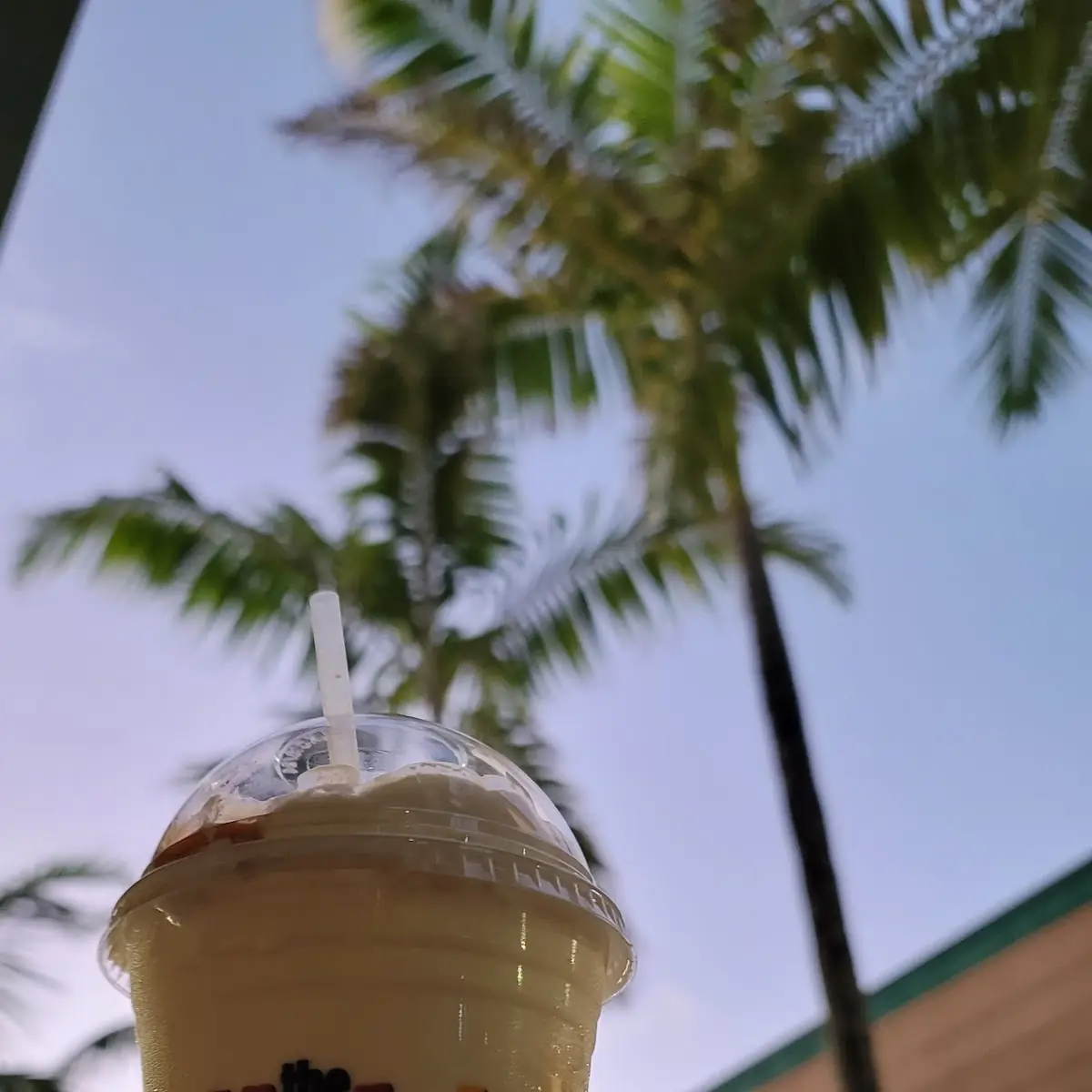 Caramel Milkshake