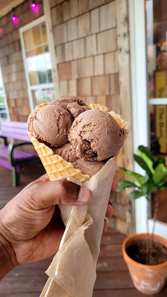 Chocolate Fudge Brownie