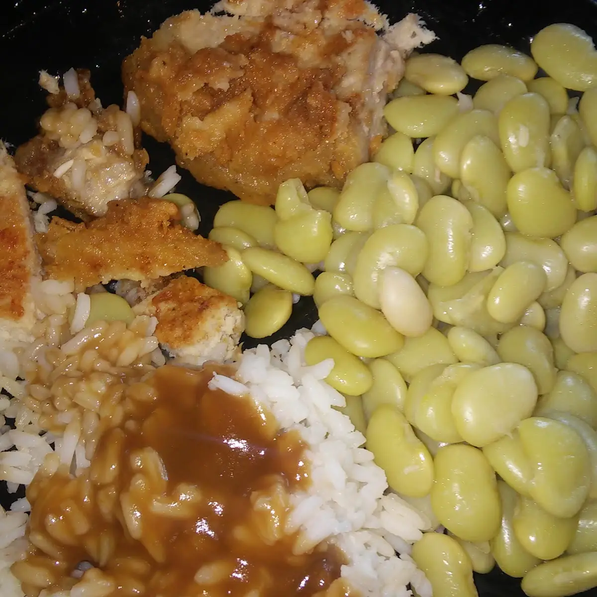 Pork Chop Rice and Veggie