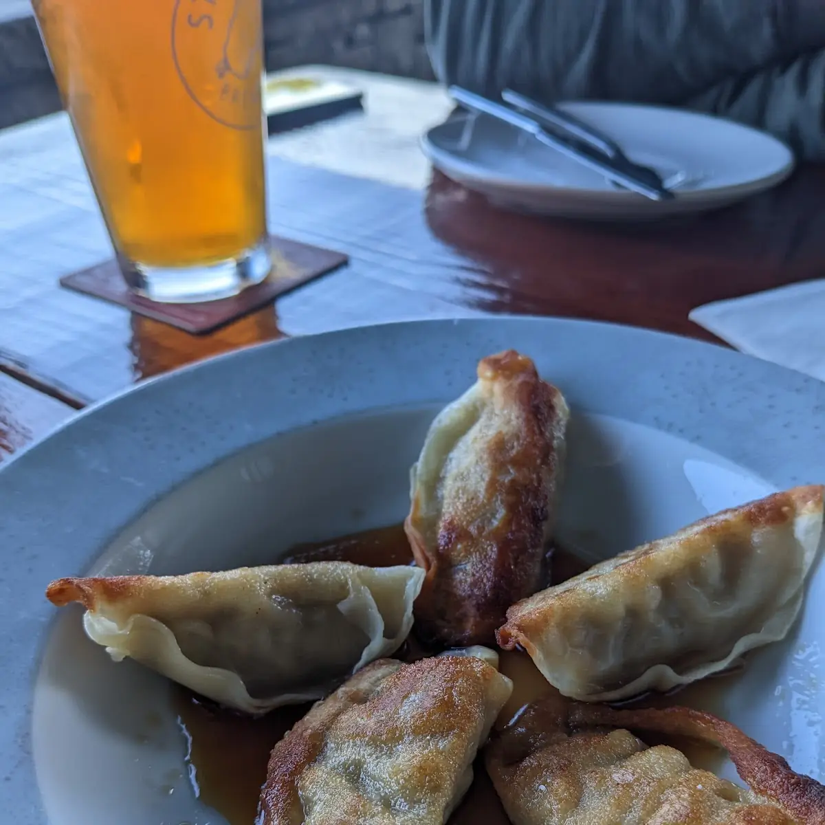 Handmade Pork Dumplings