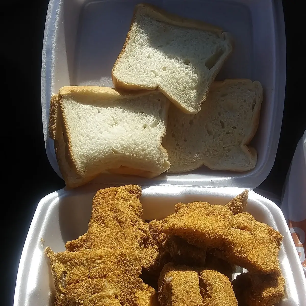 Bone in Catfish and Okra