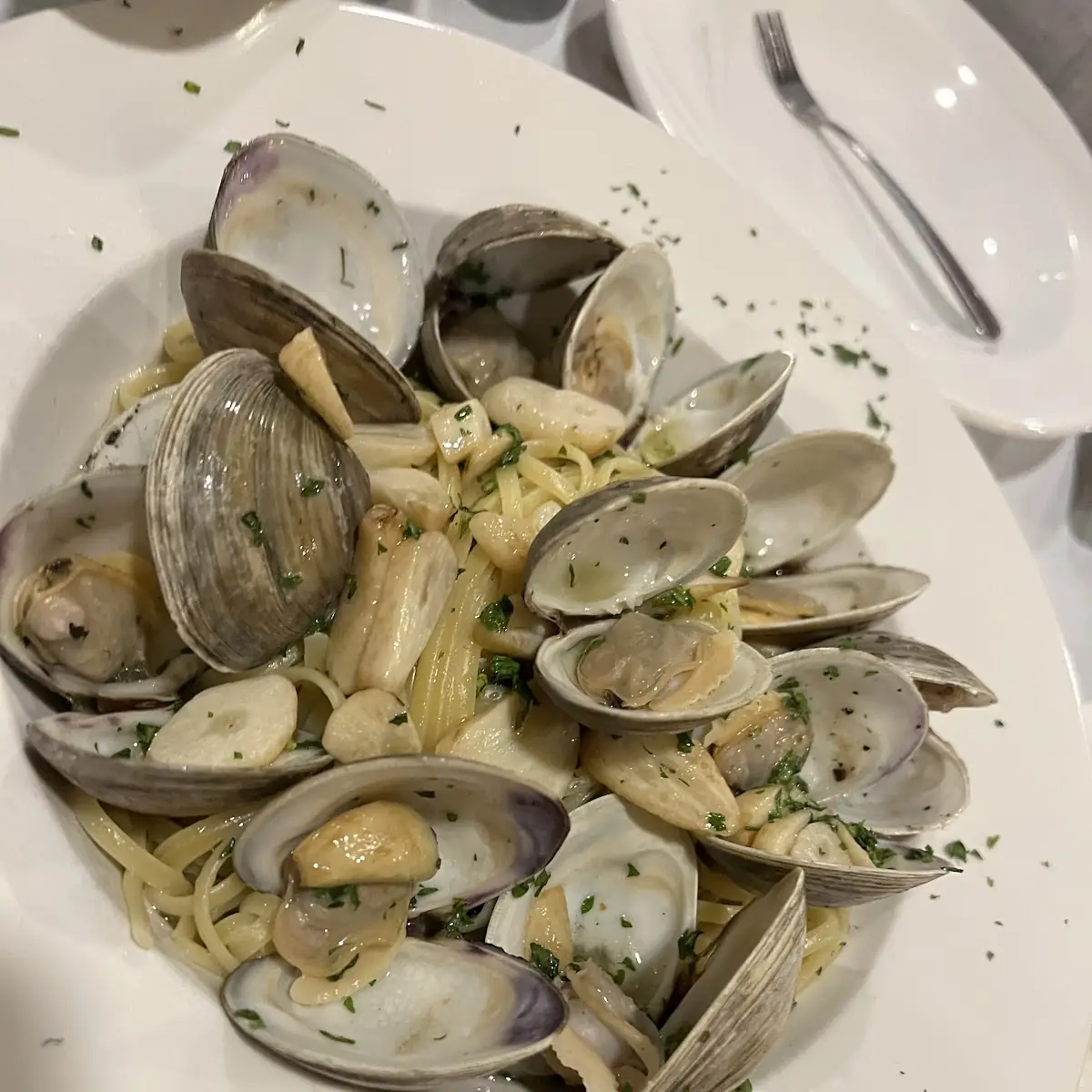 Steamed Clams