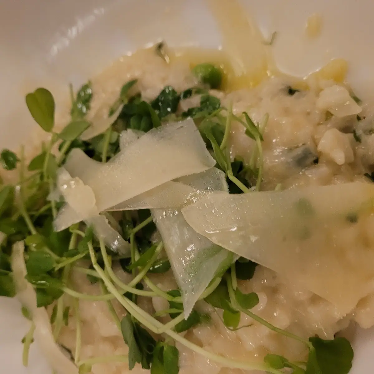 Risotto