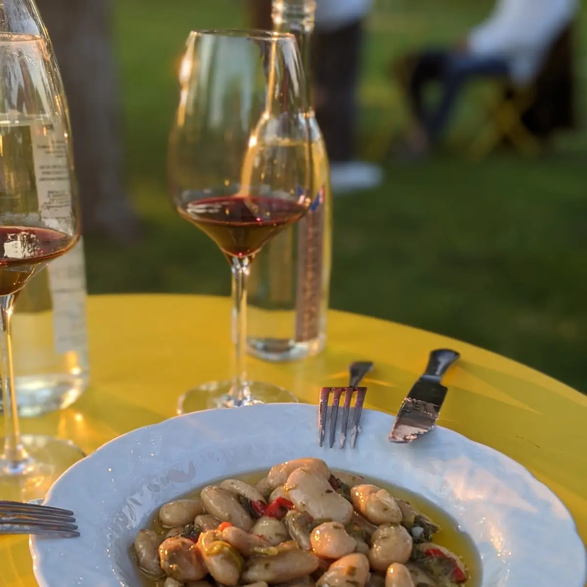 Slow Roasted Italian Fava Beans