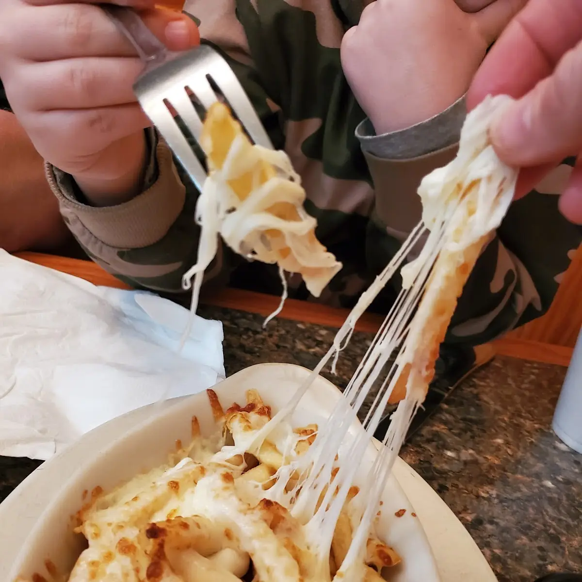 Cheese Fries