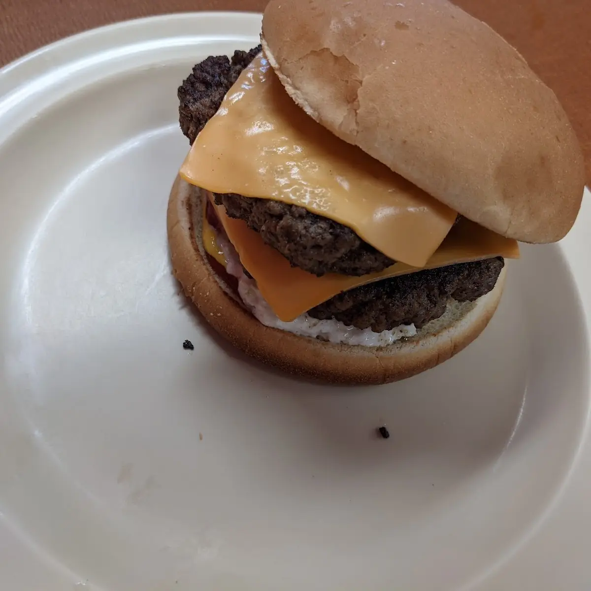 Double Cheese Burger