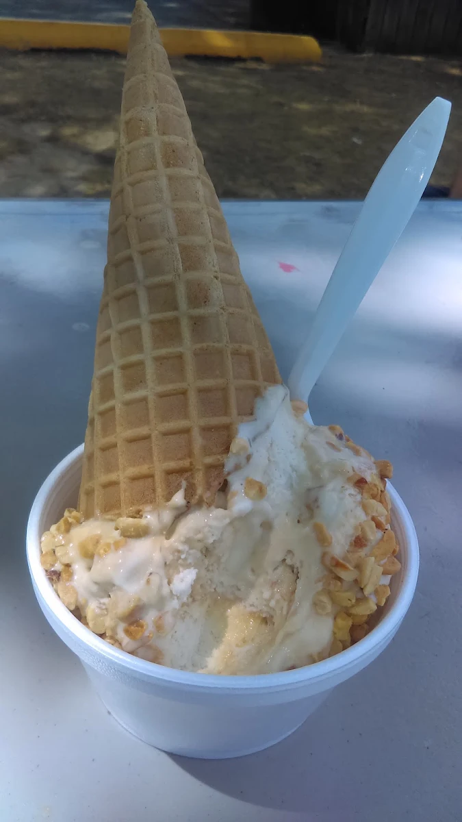 Waffle Cone in a Cup
