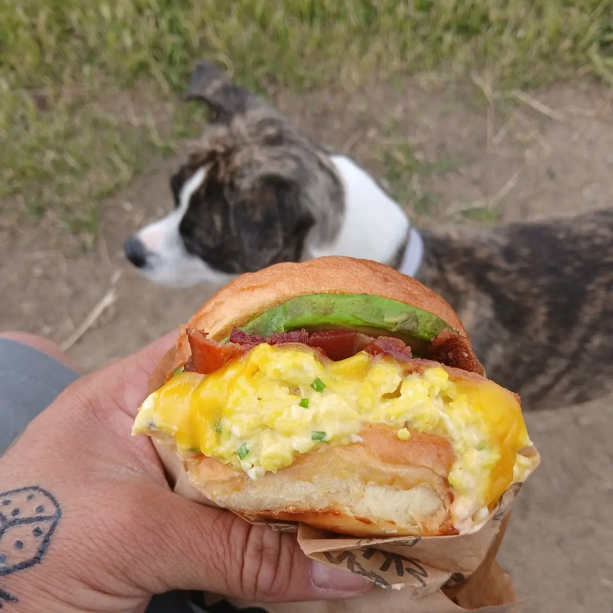 Breakfast Sandwich