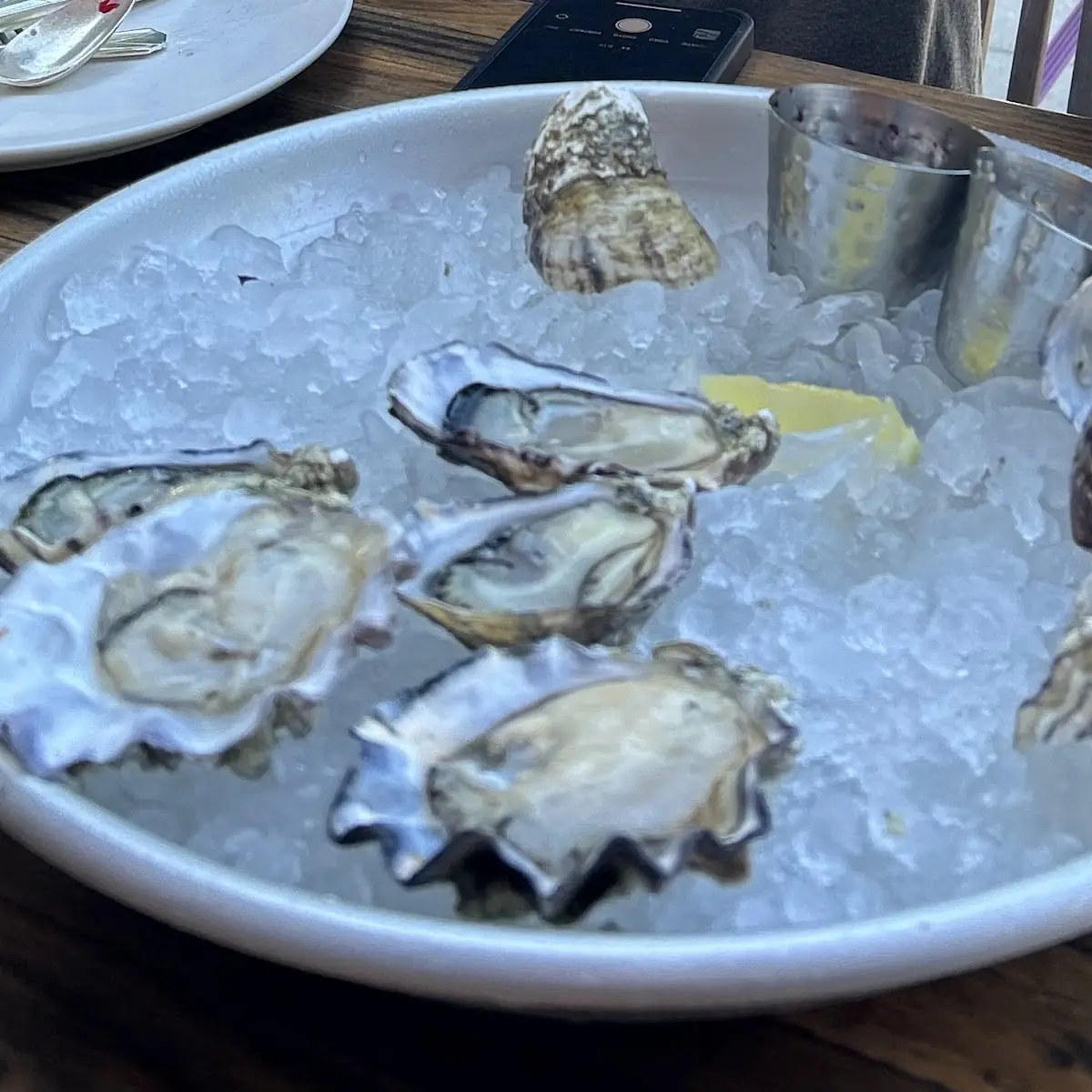 Oysters on the Half Shell