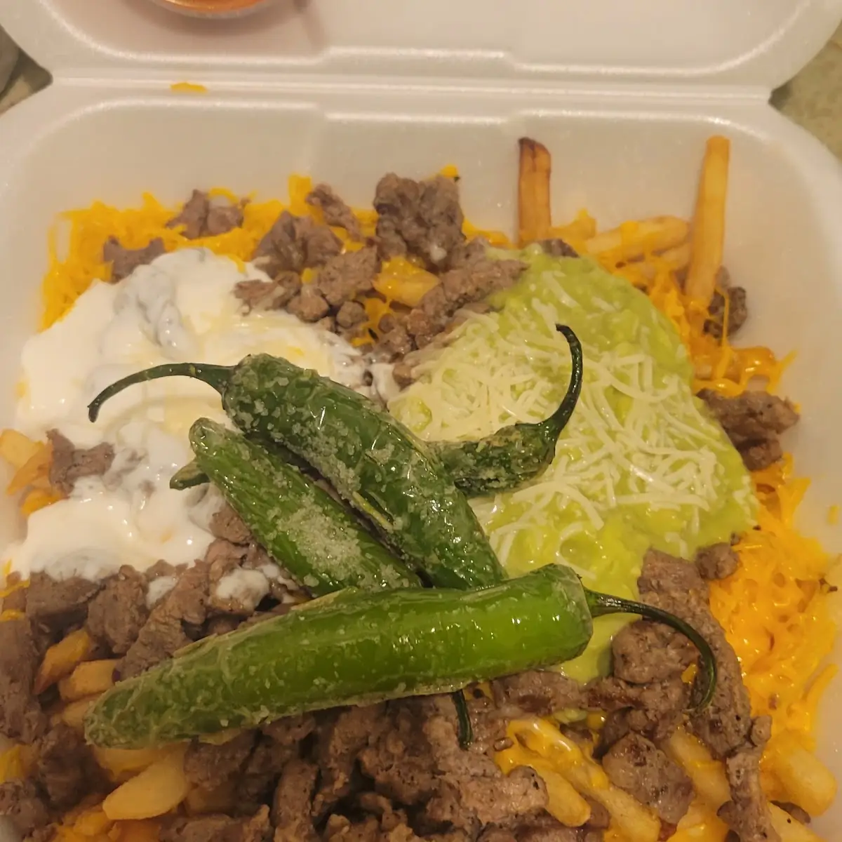 Carne Asada Fries