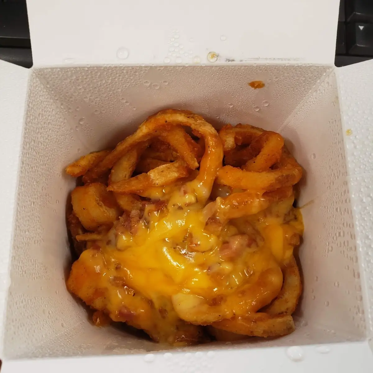 Sad Attempt at Loaded Fries