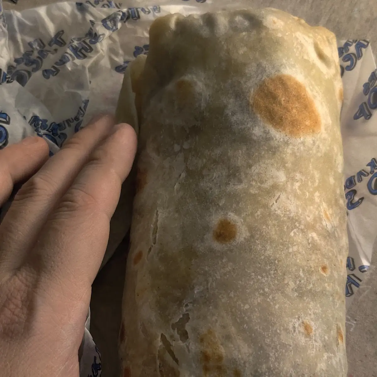Carne Asada Burrito