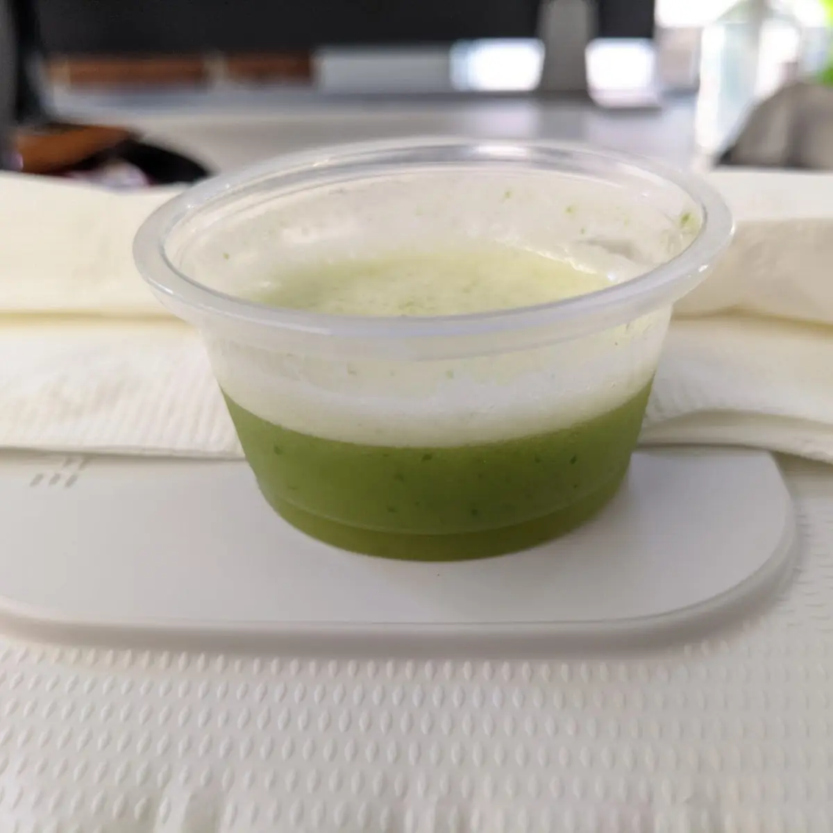 Sample Green Smoothie