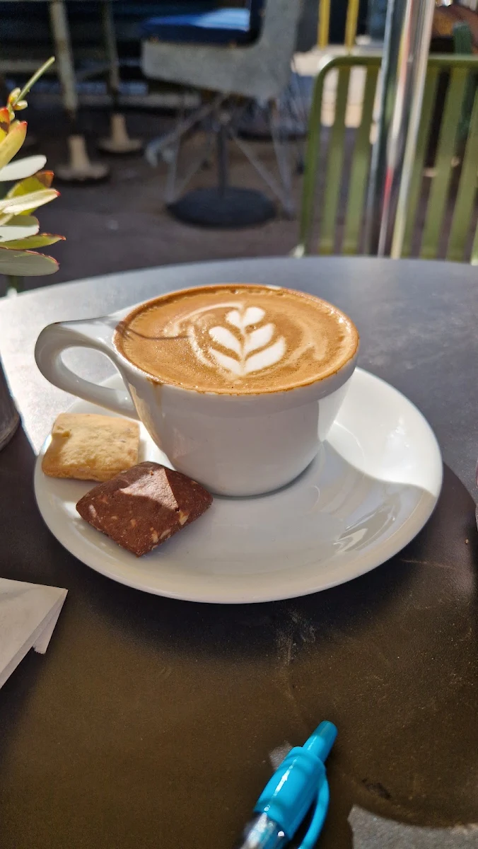 Almond Milk Cappuccino