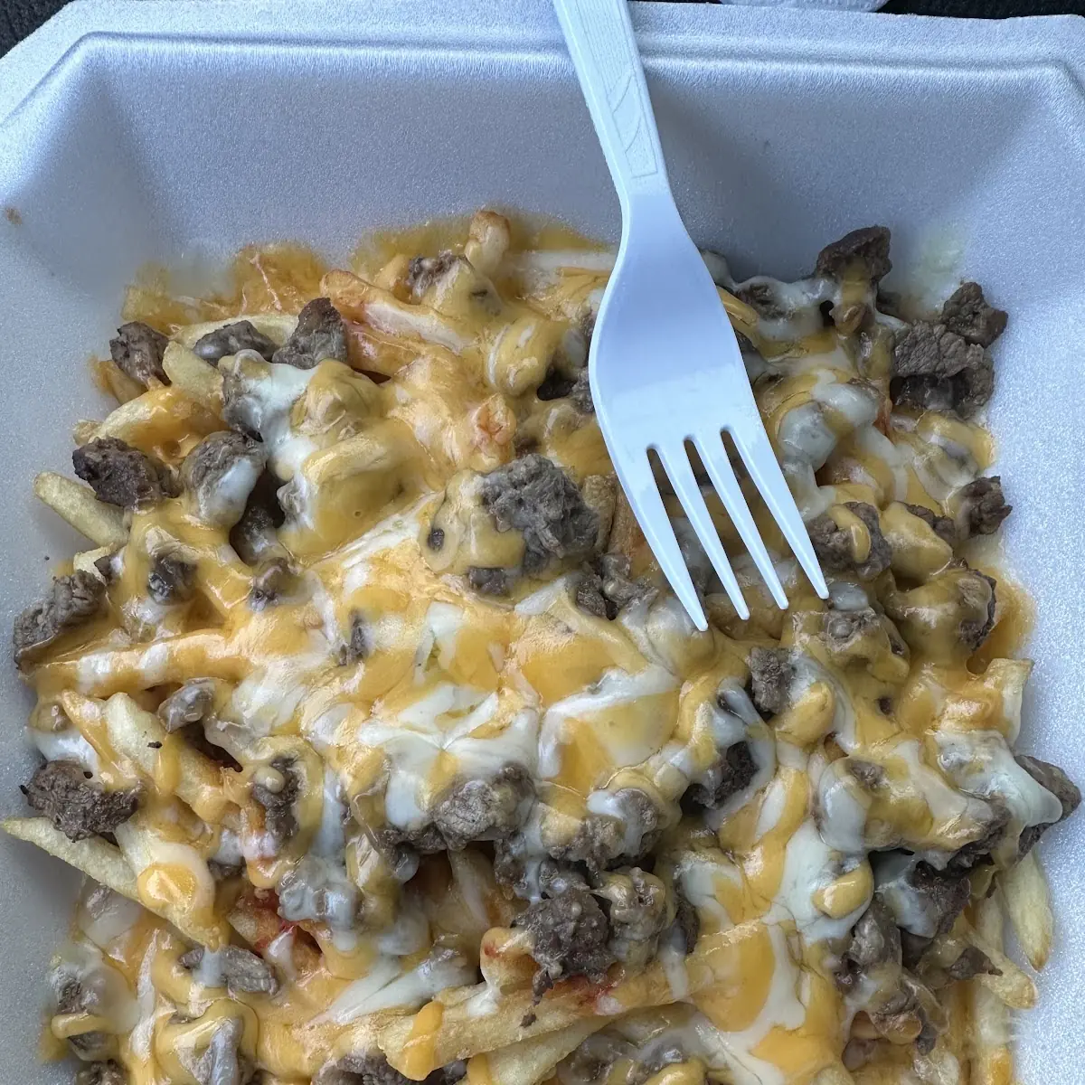Carne Asada Fries