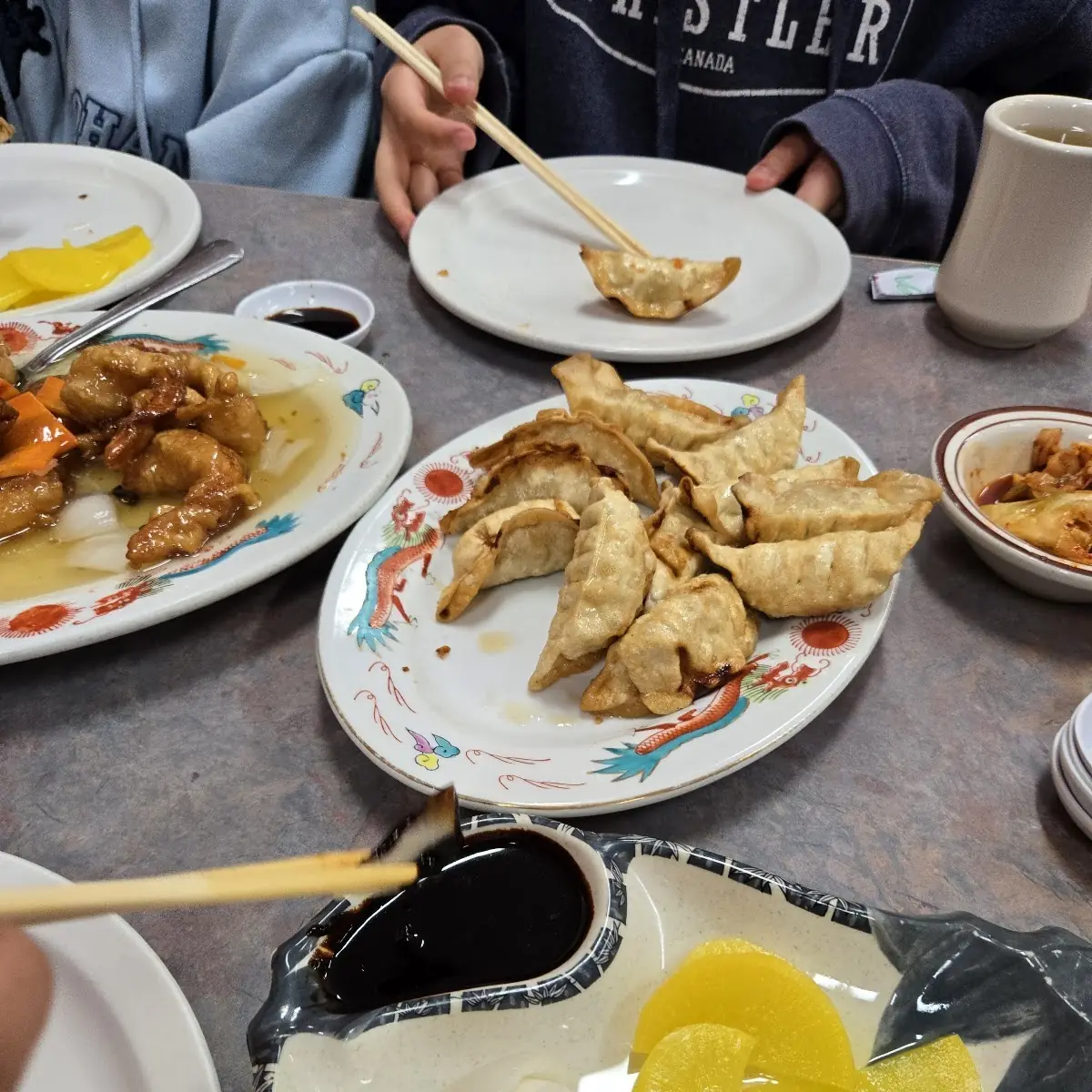 Pork and Gyoza Combination