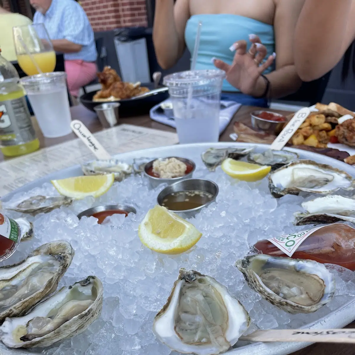 Fresh Oysters Daily